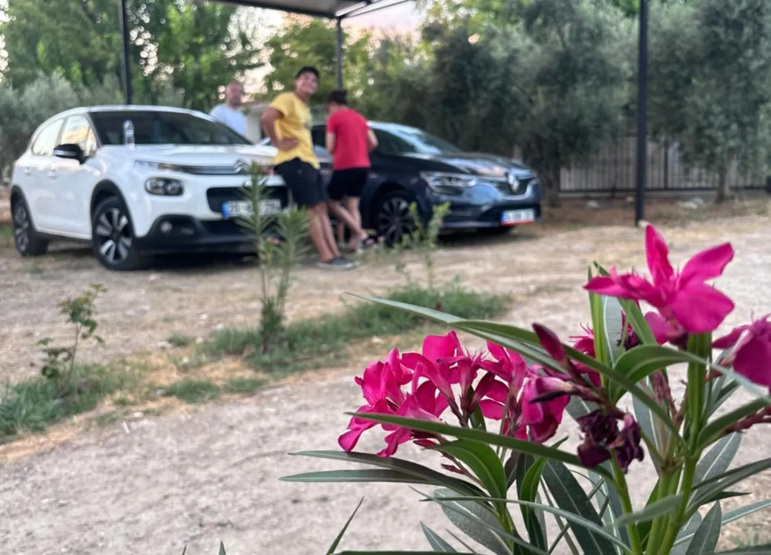 Alida Home פמוקלה טורקיה