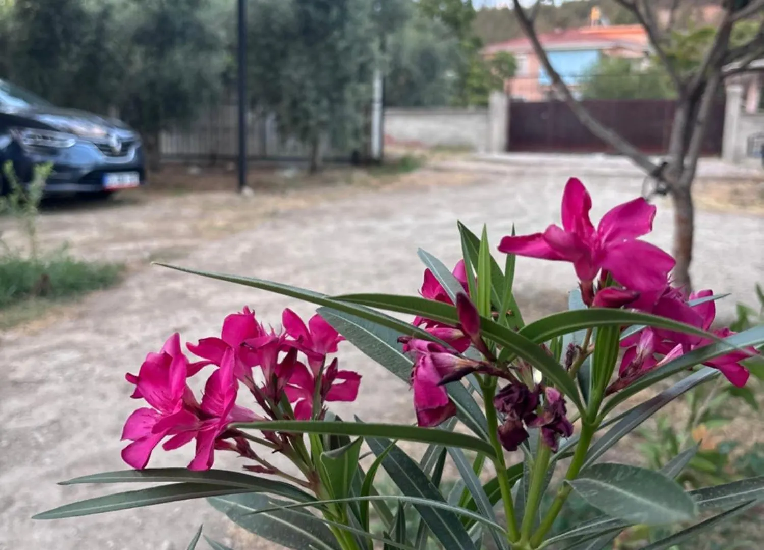 דירה Alida Home פמוקלה טורקיה